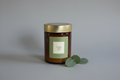 Eucalyptus Mint with Eucalyptus Leaves